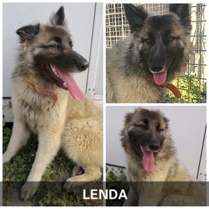 Lenda-1